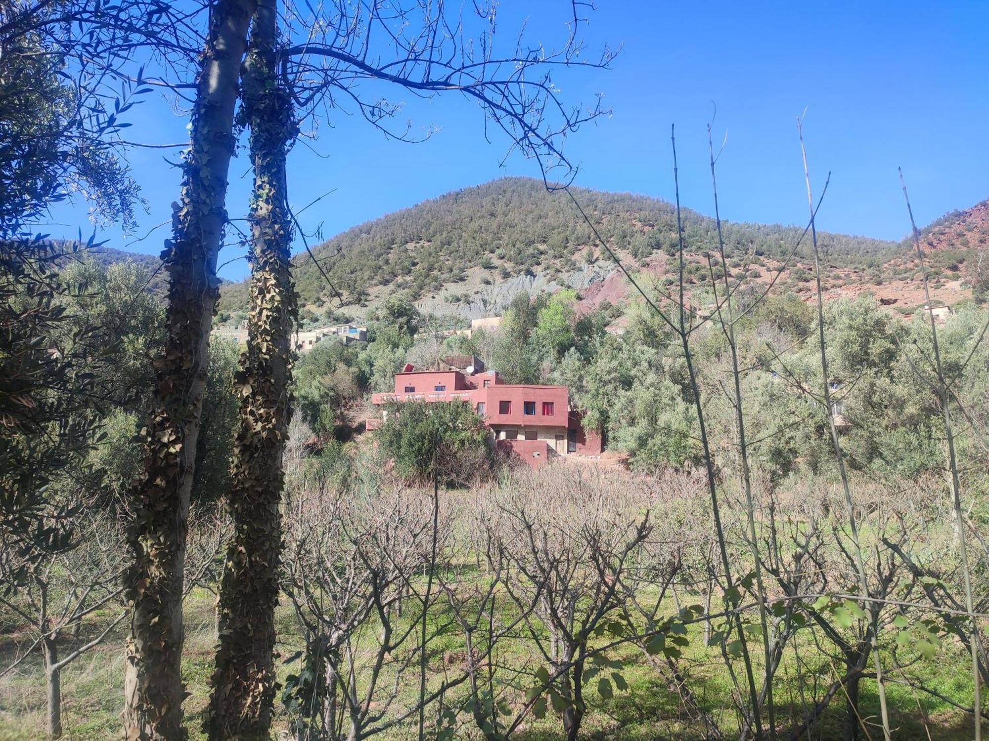 Chez Yahia, Au Coeur De L'Ourika Hotel Exterior foto